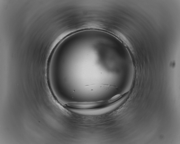 X0000090921339200707301525