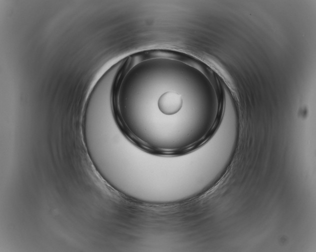 X0000090921340200707301525