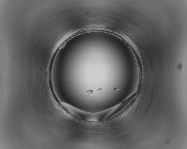 X0000090921341200707301525
