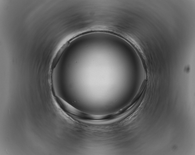 X0000090921342200707301525