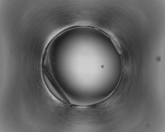 X0000090921343200707301525