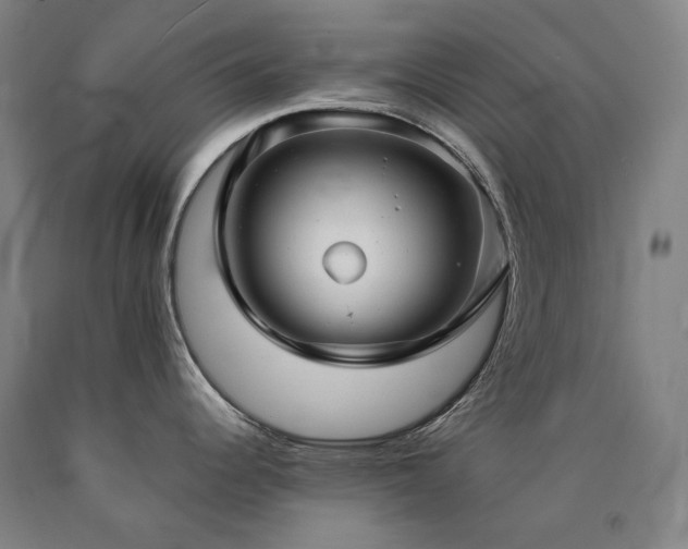 X0000090921344200707301525