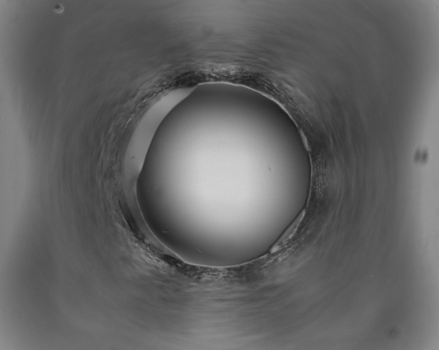 X0000090921345200707301524