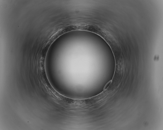 X0000090921346200707301524