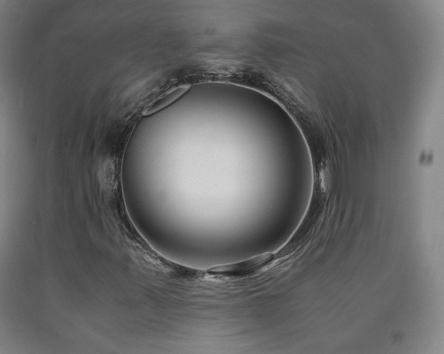 X0000090921347200707301524