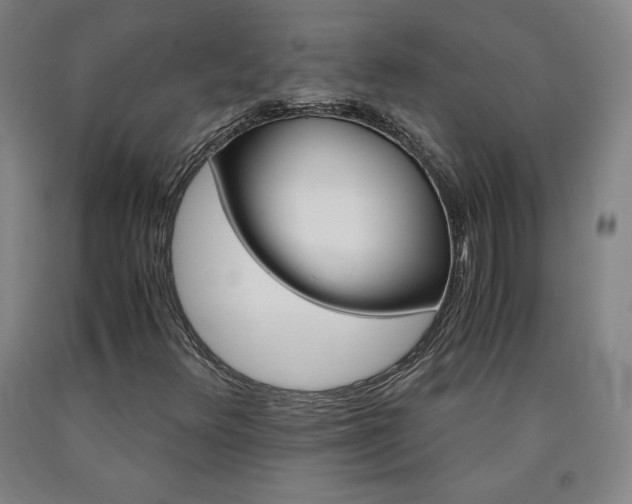 X0000090921348200707301524
