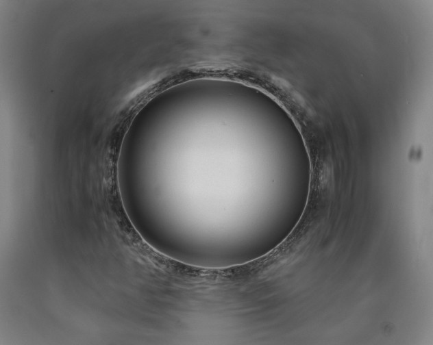 X0000090921350200707301524