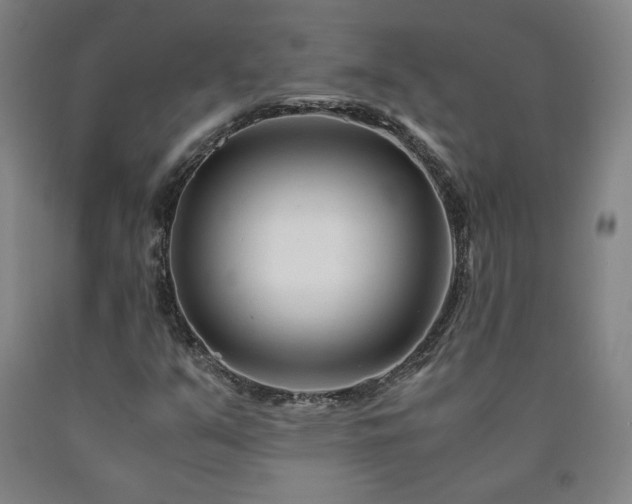 X0000090921351200707301524