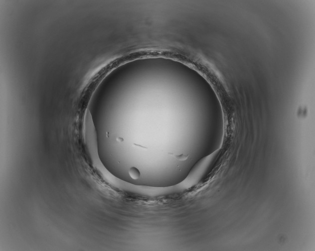 X0000090921352200707301524