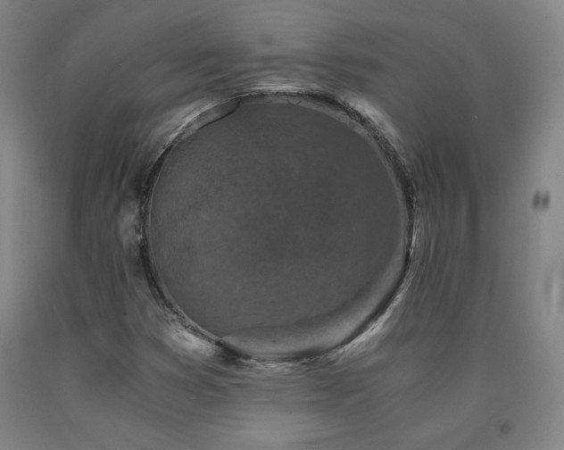 X0000090921353200707301524