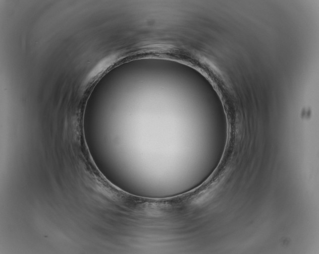 X0000090921354200707301524