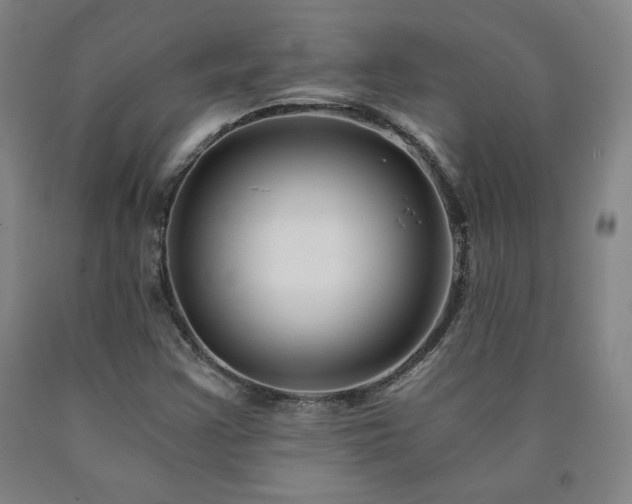 X0000090921355200707301524