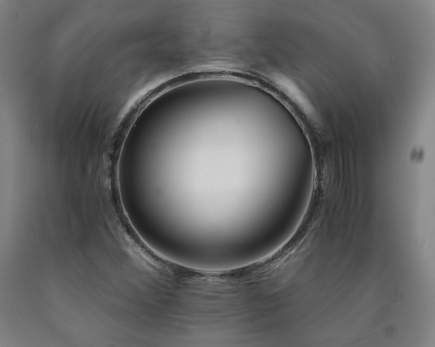 X0000090921356200707301524
