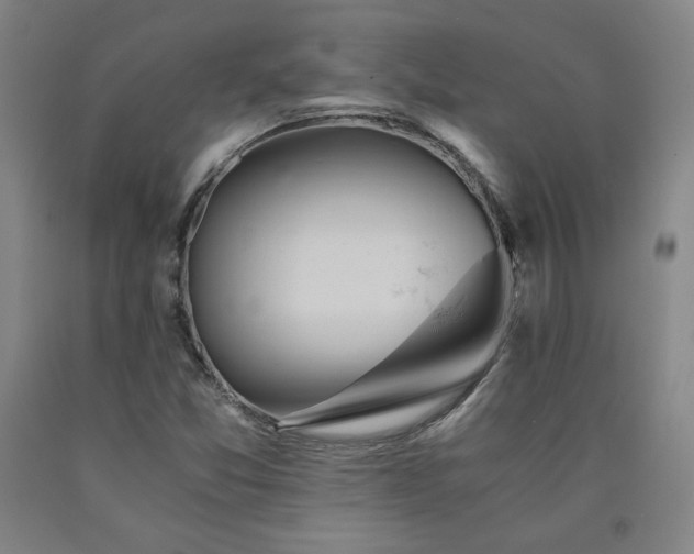 X0000090921357200707301524