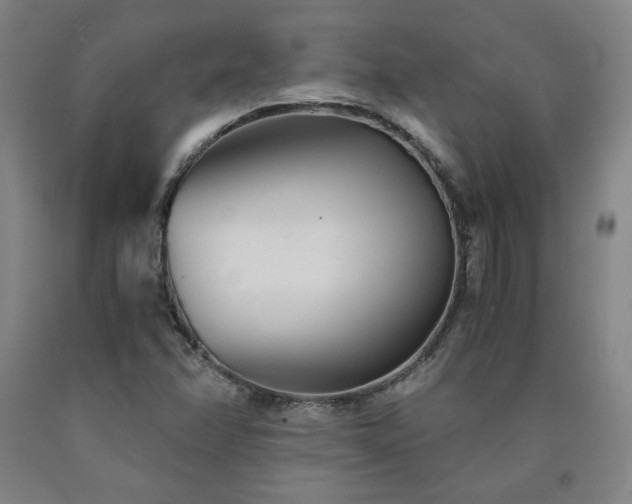 X0000090921358200707301524