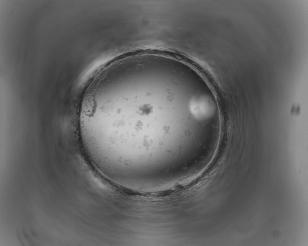 X0000090921359200707301524
