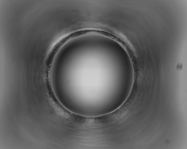 X0000090921360200707301524