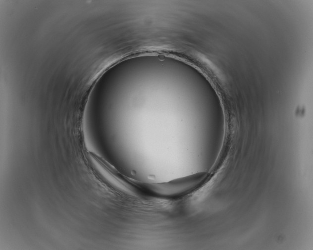 X0000090921361200707301524