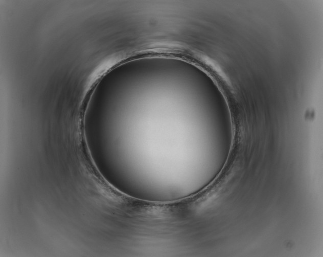 X0000090921362200707301524