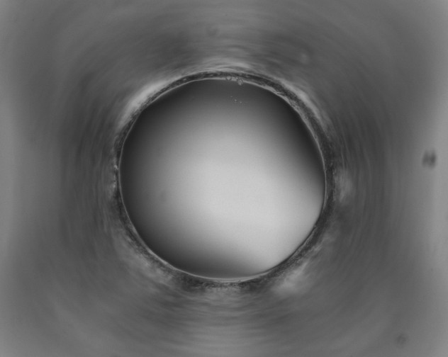 X0000090921363200707301524
