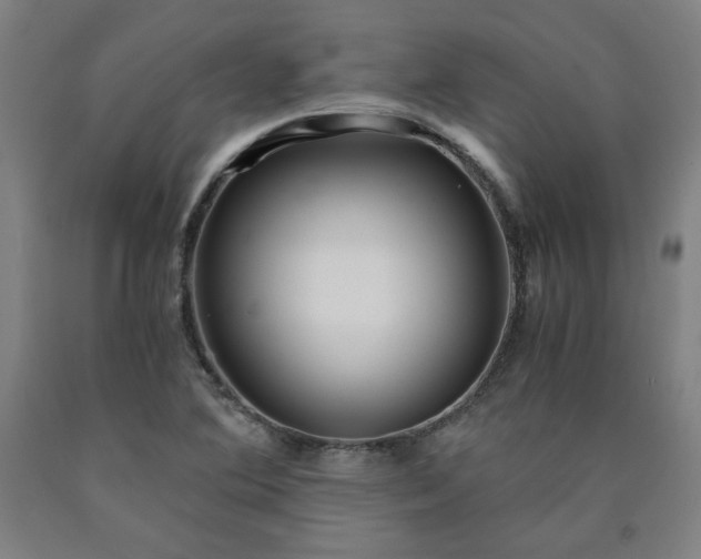 X0000090921364200707301524