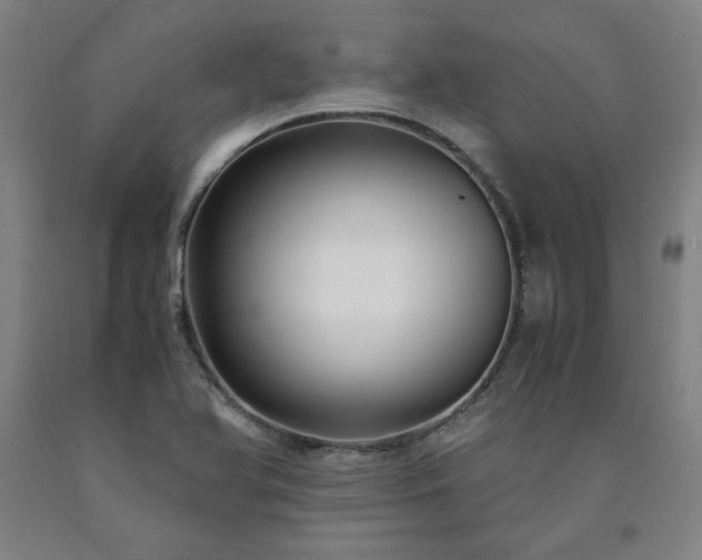 X0000090921366200707301524