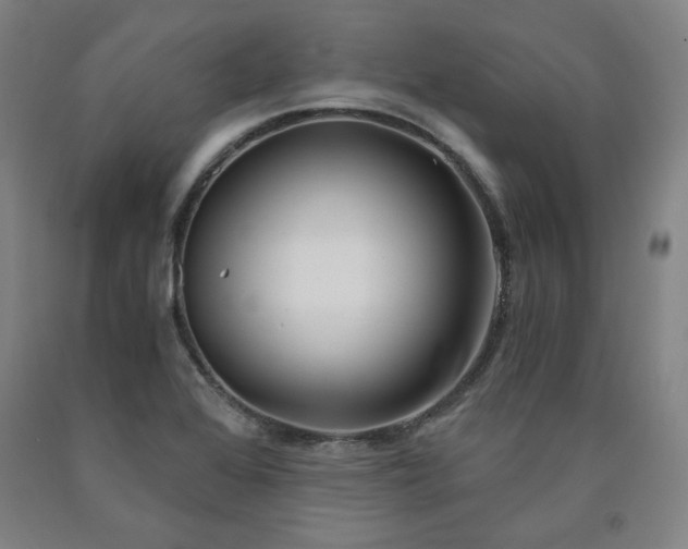 X0000090921368200707301524