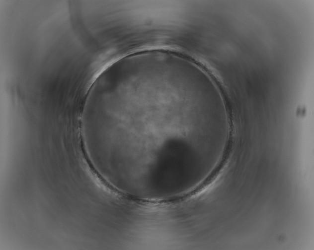 X0000090921369200707301524