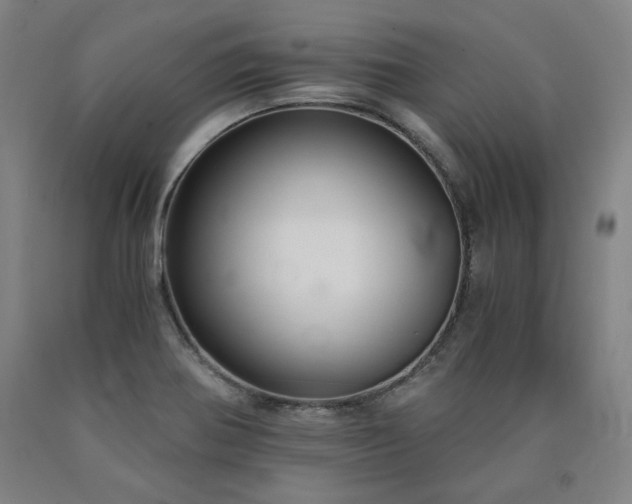X0000090921370200707301524