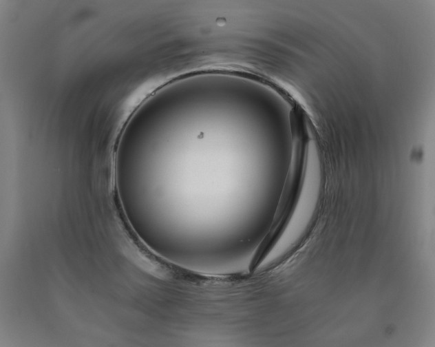 X0000090921371200707301524