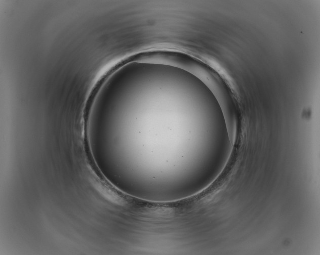 X0000090921372200707301524