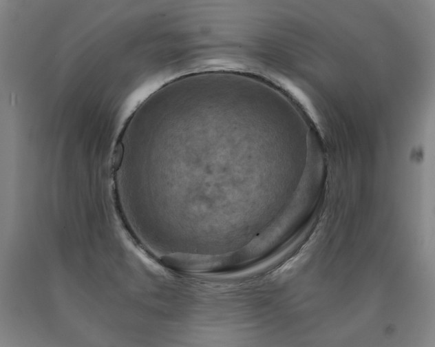 X0000090921373200707301524