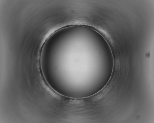 X0000090921374200707301524