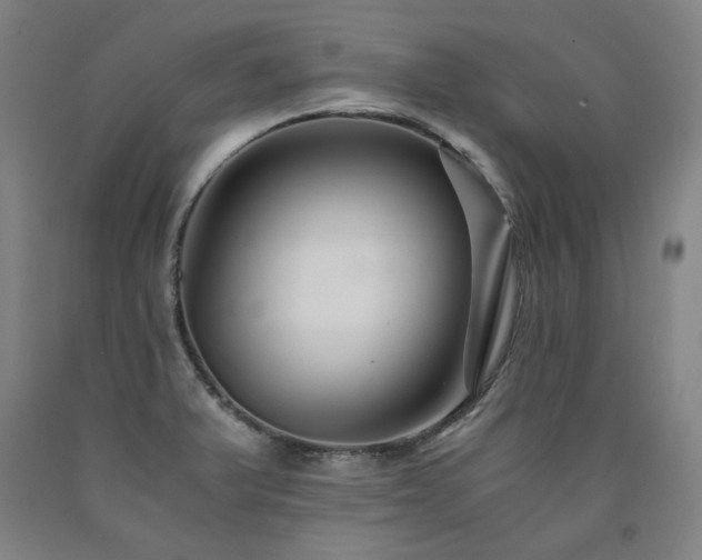 X0000090921375200707301524