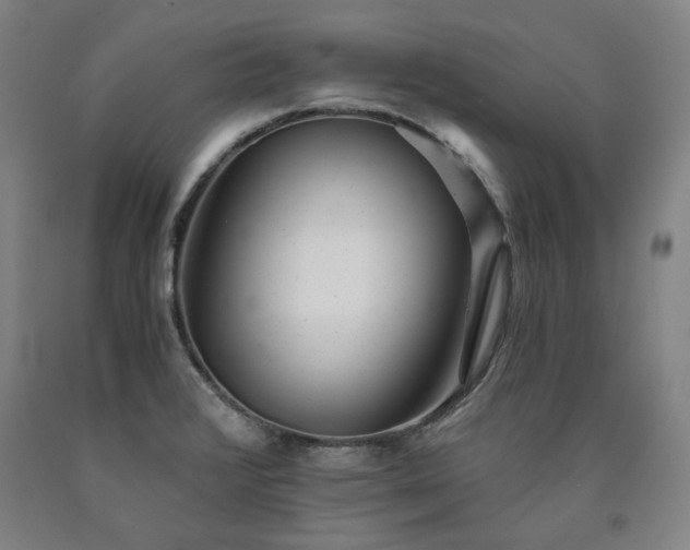 X0000090921376200707301524