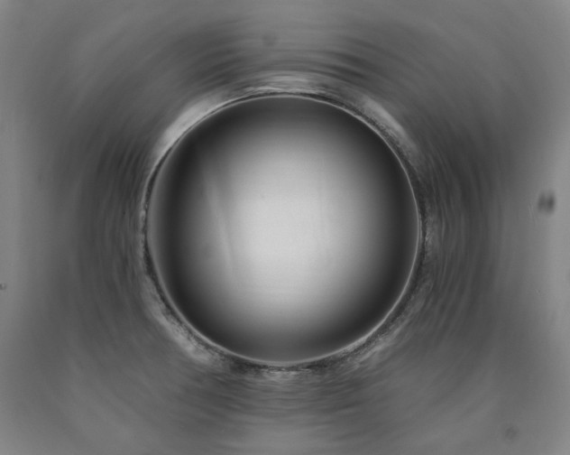 X0000090921378200707301524