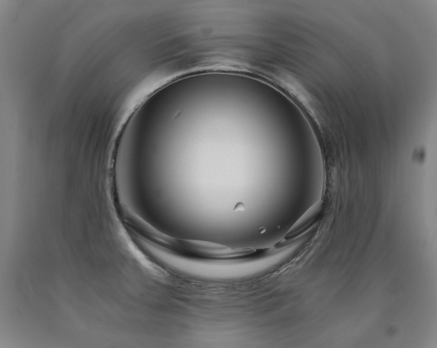 X0000090921379200707301524
