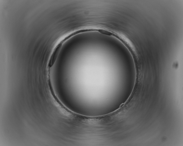 X0000090921380200707301524