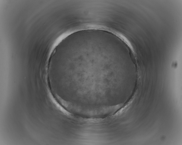 X0000090921381200707301524