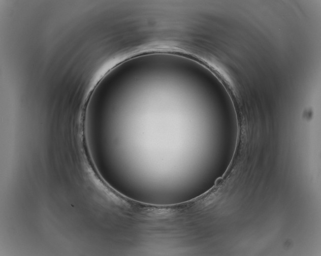 X0000090921382200707301524