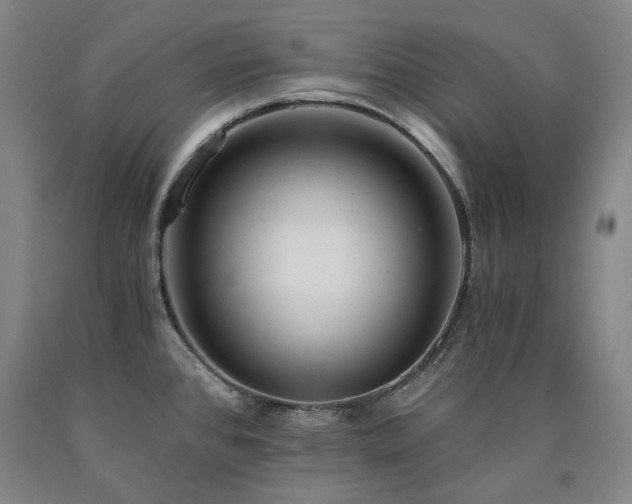 X0000090921384200707301524