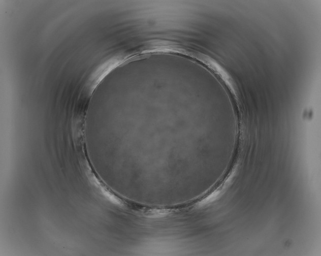 X0000090921385200707301524