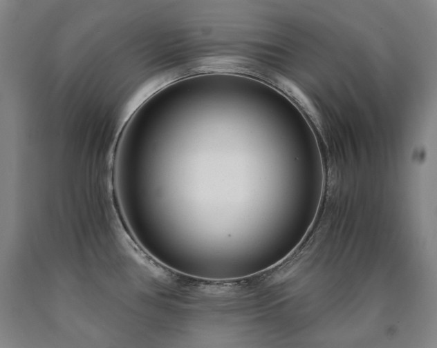 X0000090921386200707301524