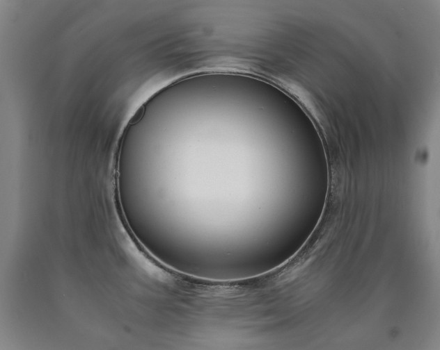 X0000090921387200707301524