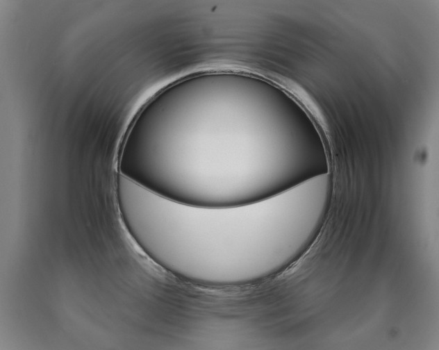 X0000090921388200707301524