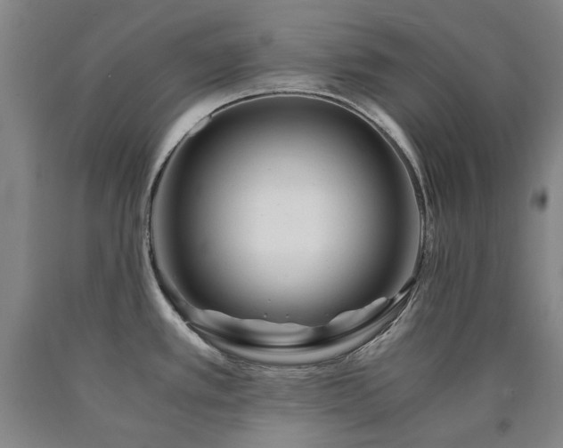X0000090921389200707301524