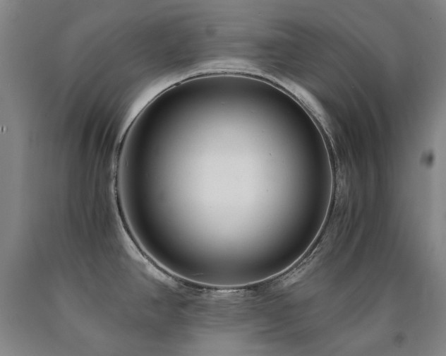 X0000090921390200707301524