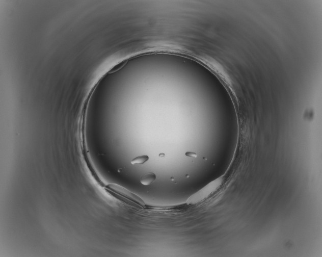 X0000090921391200707301524