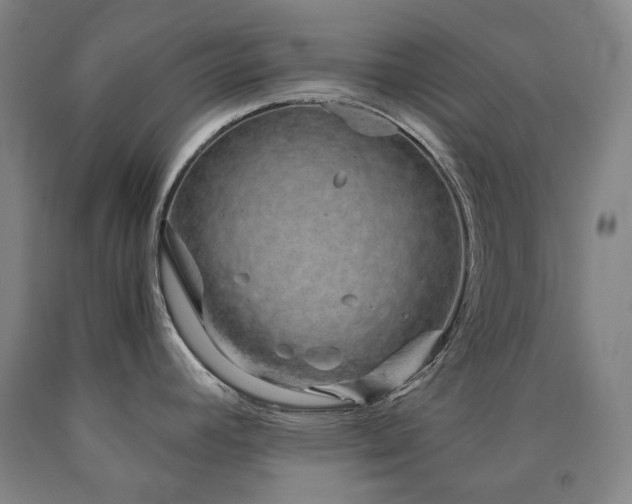 X0000090921392200707301524