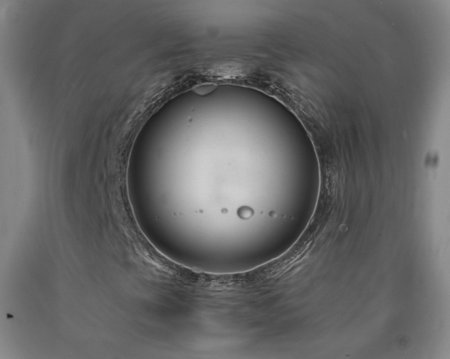 X0000090921393200707301523